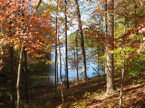 Your guide to visiting asheboro for the first time 3