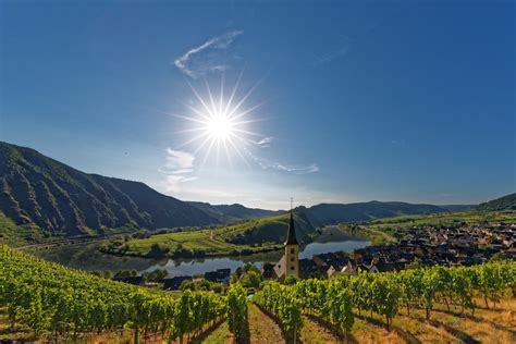 Sommer 2015 Weingut Ferienwohnung Clemens Ferdinand