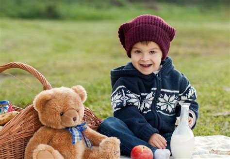 National Teddy Bear Picnic Day Rory Elbertina