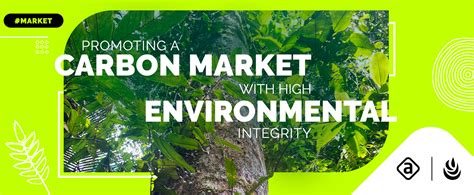 Promoting A Carbon Market With High Environmental Integrity