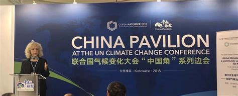 “中国已经成为了全球气候治理的主要推手和催化剂”——绿色和平全球总干事在联合国气候大会评点中国气候行动 绿色和平