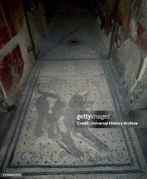 Pompeii House Of The Tragic Poet Photos And Premium High Res Pictures