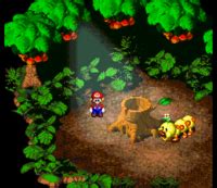 Forest Maze Super Mario Wiki The Mario Encyclopedia