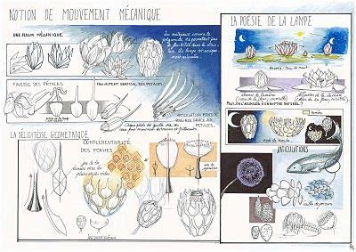 Lisa Ingrassia Book Etude de cas BLOOM Réalisation de croquis