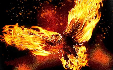 HD wallpaper: fire eagle | Wallpaper Flare