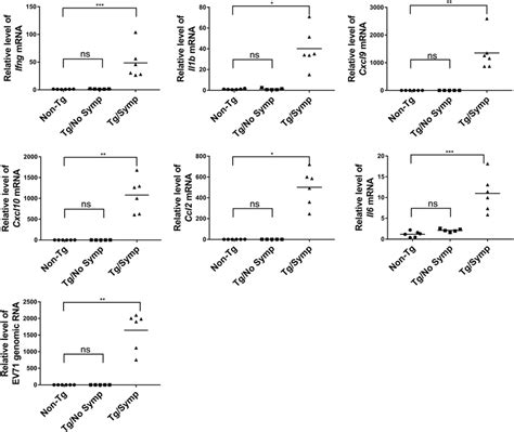 Expression Of Proinflammatory Cytokines In The Brains Of Ev71 Infected