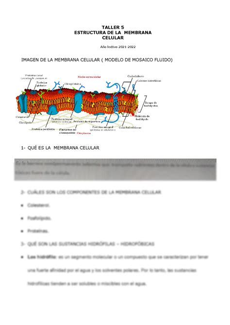 Que Es La Membrana Celular