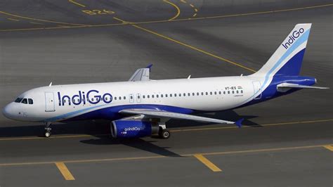 Indigo S New Direct Flight Connects Goa And Abu Dhabi Check Details