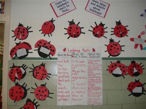 Ladybug Bulletin Board Ideas