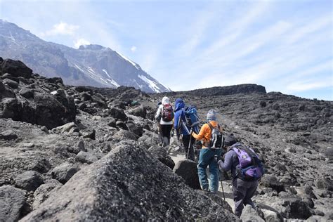 Kilimanjaro Besteigung Rongai 6 Tage 5 Nächte GetYourGuide