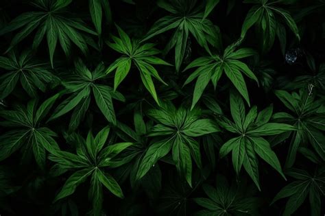 Premium Photo | Green leafy plants