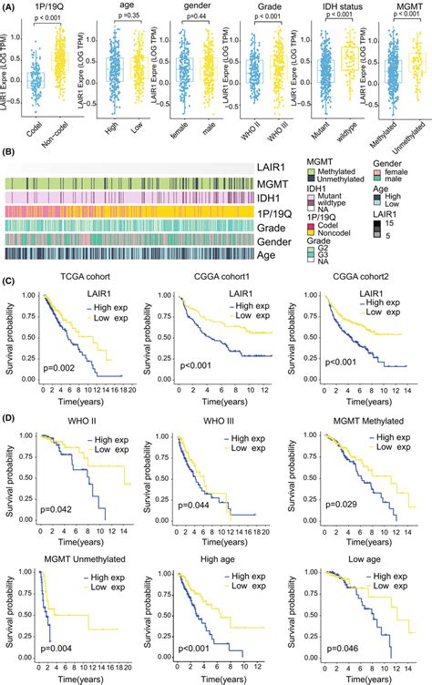 A Based On TCGA Database LAIR1 Expression Differed Among Various