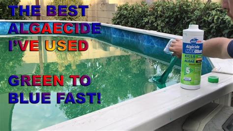 How To Get Rid Of Algae In A Pool Crystal Clear Solutions