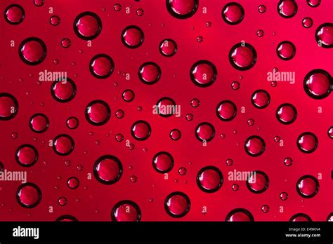 Red Water Drops Stock Photo Alamy