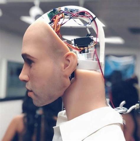 Worlds First Sex Robot For Women Launched Complete With Customisable Penis Fake Stubble And