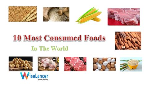 Top 10 Most Popular Foods Items In The World WiseLancer