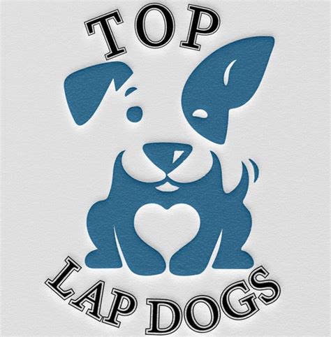 The Best Lap Dogs For Seniors Top Lap Dogs