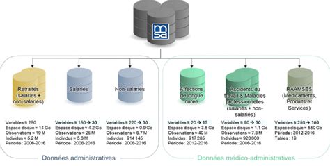 Structure et caractéristiques des données brutes de la MSA Download