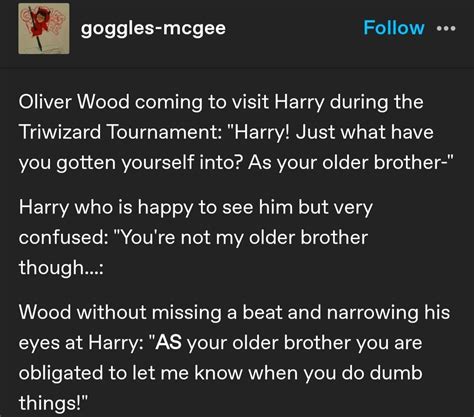 Pin By Brianna On Harry Potter Harry Potter Feels Harry Potter Funny Gay Harry Potter