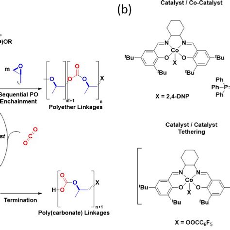 A Illustration Of The Reaction Mechanism For The Ring Opening