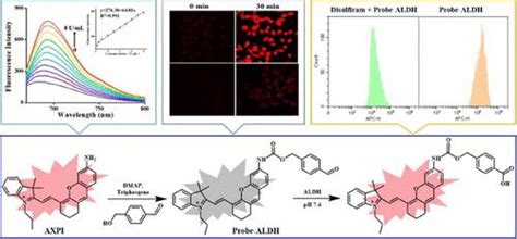 具有新识别基团的近红外荧光探针对醛脱氢酶的特异性检测和成像有望用于肿瘤干细胞的鉴定和分离analytical Chemistry X Mol