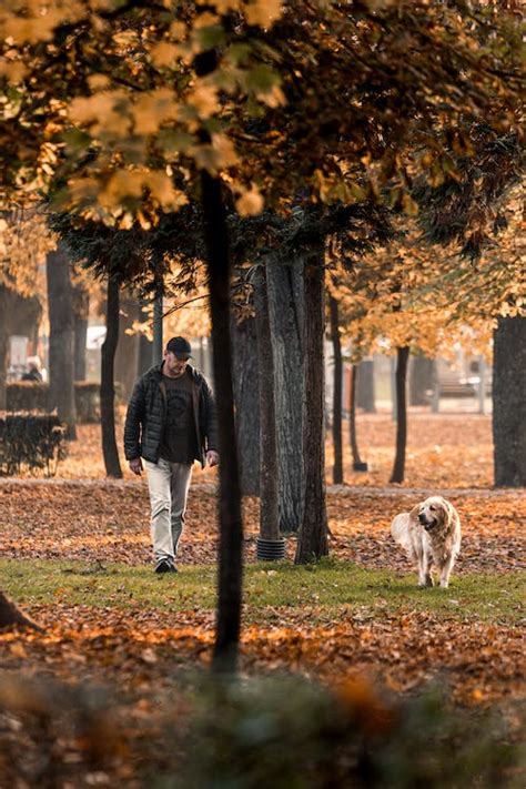 Man Walking With A Dog In A Park · Free Stock Photo