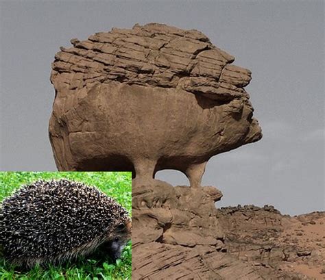 Top 10 Amazing Animal Shaped Rock Formations