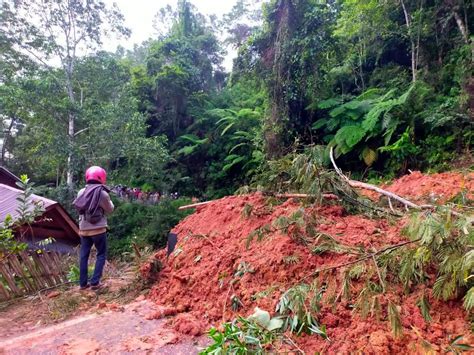 Longsor Di Buntao Toraja Utara 8 Orang Diduga Jadi Korban Dua Masih