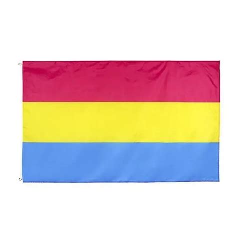 What Is The Pansexual Pride Flag, And What Does It Stand For?