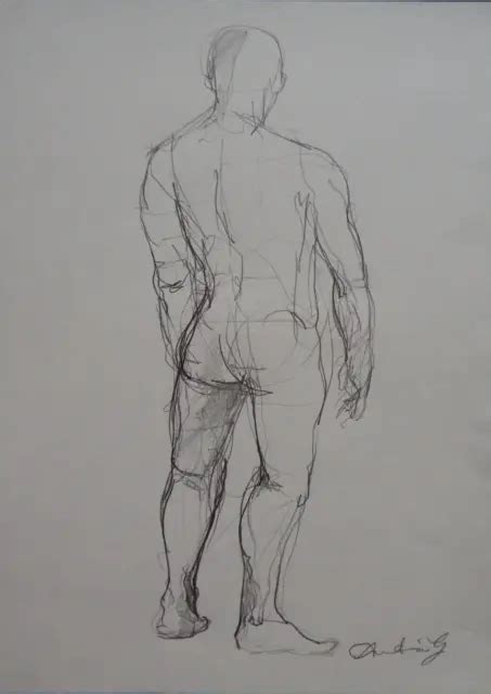 Expressive Pencil Drawing Sketch Of A Male Nude Back Profile Of A Man