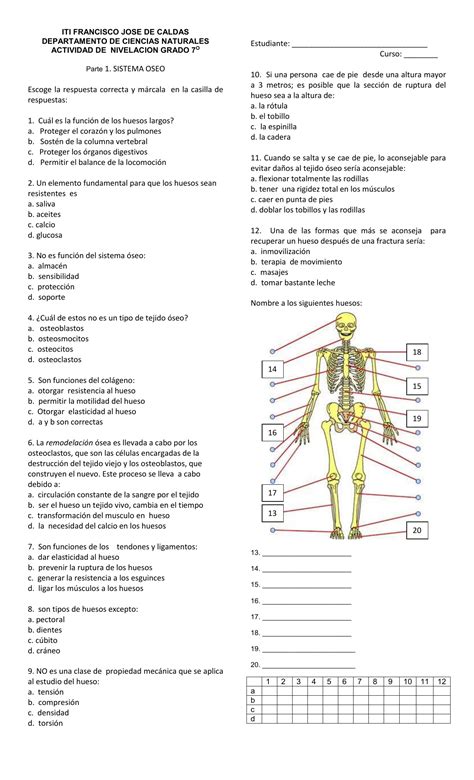 SISTEMA ESQUELÉTICO EVALUACIÓN