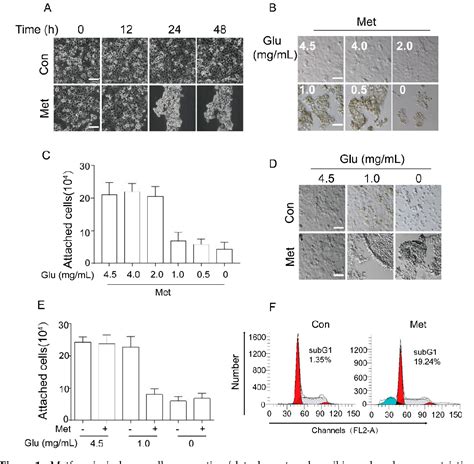 Figure 1 from Integrin β1 Mediated CellCell Adhesion Augments