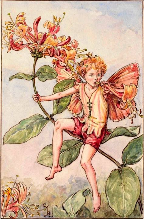 The Honeysuckle Fairy Cicely Mary Barker Circa 1918 Fine Art Print