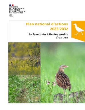 Remplissable En Ligne Plan National D Actions En Faveur Du Rle Des