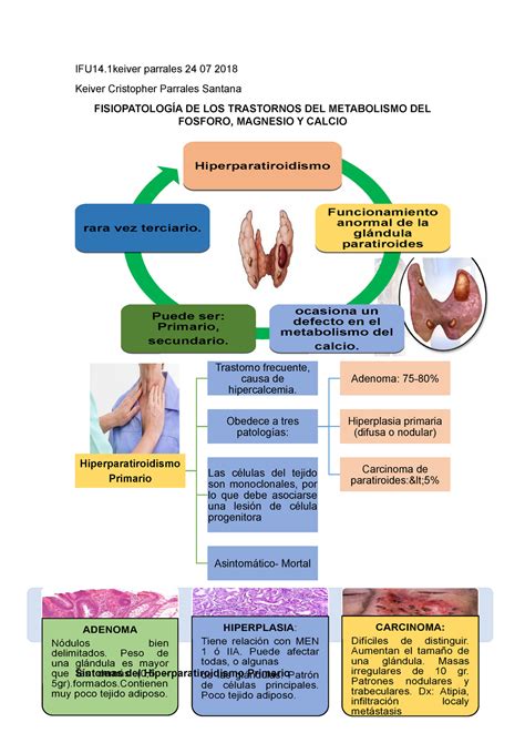 Fisiopatología DE LOS Trastornos DEL Metabolismo DEL Fosforo Magnesio