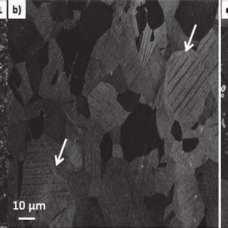 Sem Micrographs Of Twip Specimens A Annealed At C B Annealed