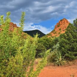What Are The Nearby Attractions Of Verde Valley RV & Camping Resort ...