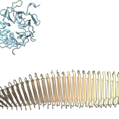 Protein structure prediction results with AlphaFold for the novel ...