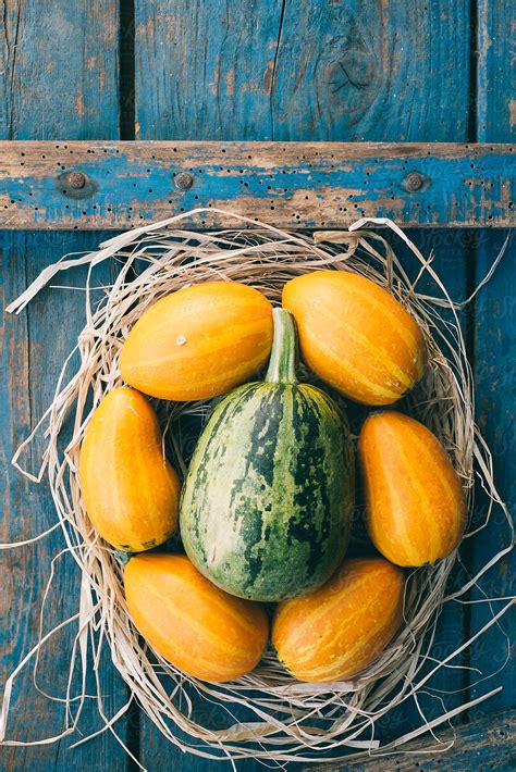 Colourful Squash porMarija Savic