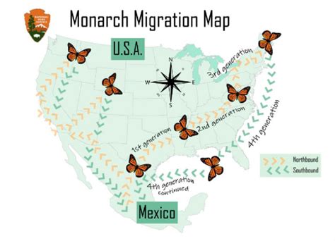 Animals Migrating Due To Climate Change