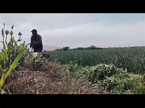 Crossdresser Al Aire Libre En Lencer A Con Campesina Caliente Xvideos