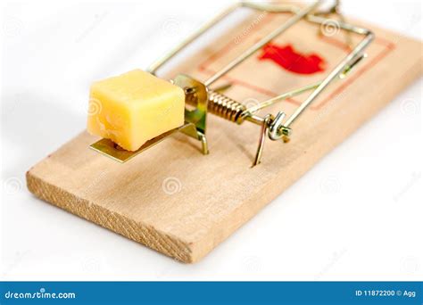 Mouse Trap Stock Photo Image Of Mouse Food Tasty Item 11872200