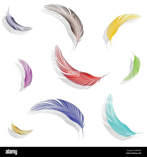 Feathers Stock Vector Images Alamy