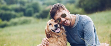 Can Dogs Really Feel Joy? – DogJoy.Love