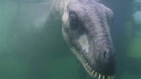 Il Mostro Di Loch Ness La Leggenda Della Prima Apparizione