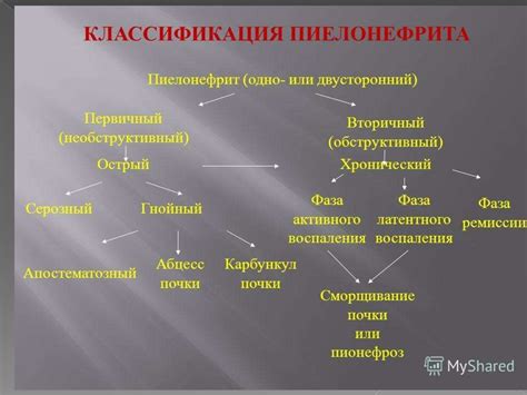 Пиелонефрит. Классификация пиелонефрита - презентация онлайн