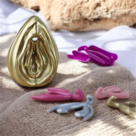 Vagina Vulva Clitoris Anatomical Model Detachable 3D Female Anatomy
