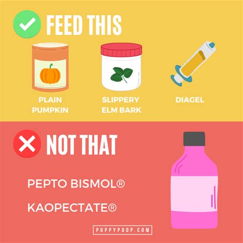 Pepto Bismol bad for dogs with diarrhea. Learn more natural alternatives