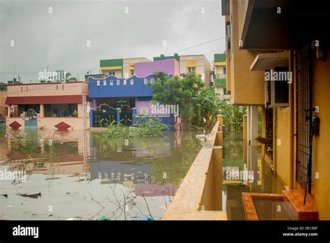 Chennai India 3rd December 2015 Due To Heavy Rain Chennai Was