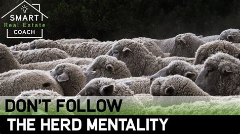 Dont Follow The Herd Mentality Youtube